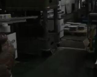 擺臂4軸、5軸機械手